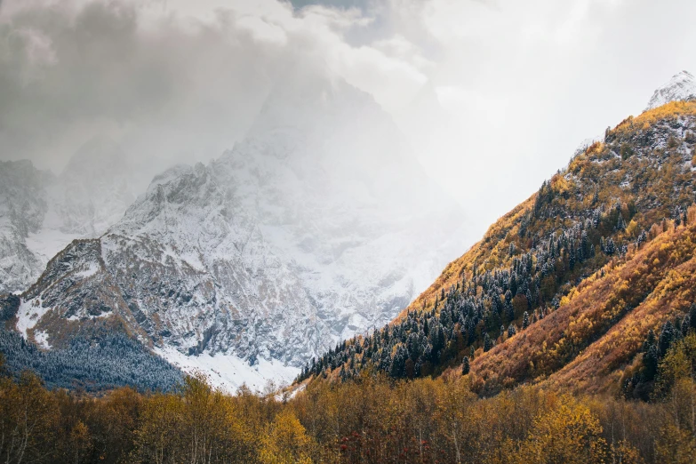 a herd of cattle grazing on top of a lush green field, by Matthias Weischer, unsplash contest winner, with a snowy mountain and ice, autumn foliage in the foreground, 4 k cinematic panoramic view, trees and cliffs