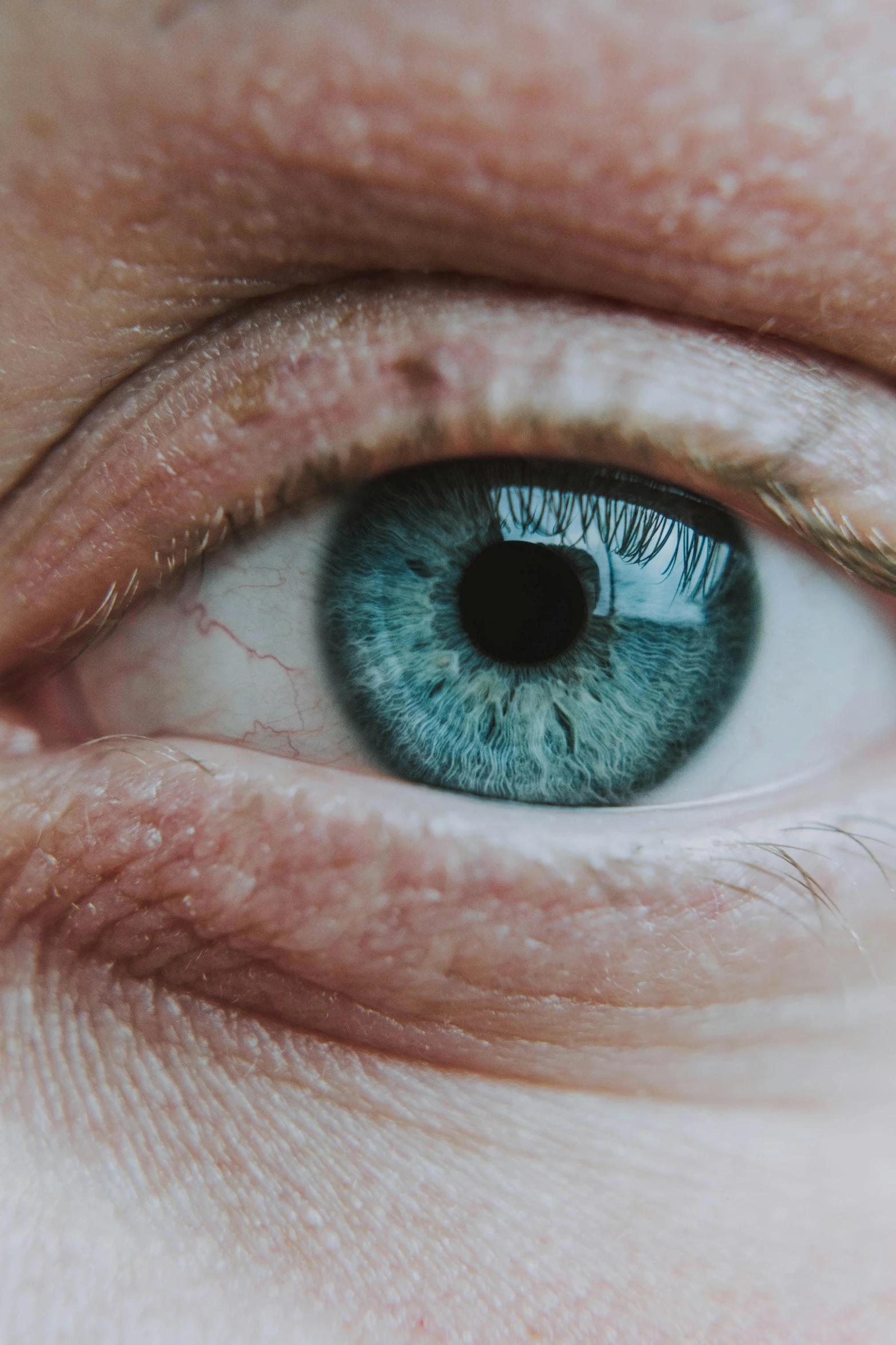 a close up of a person's blue eye, trending on unsplash, renaissance, wrinkles and muscle tissues, people watching around, a green, zoomed out