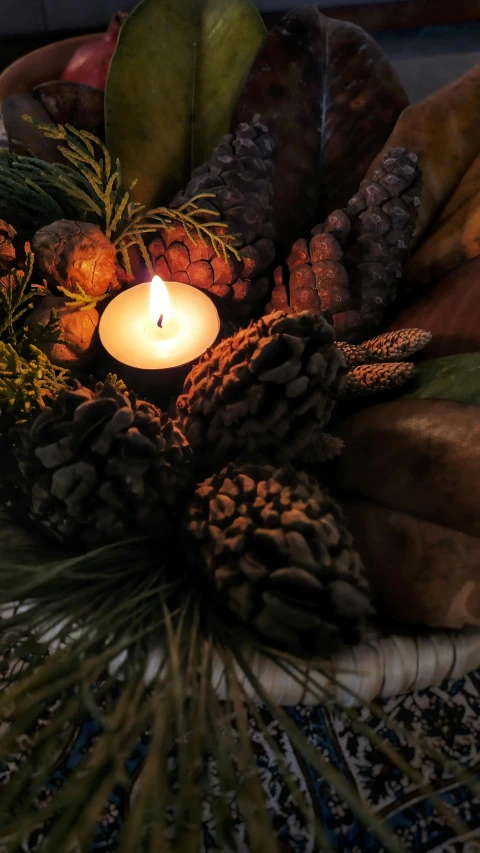 a candle that is sitting on a table, a still life, pexels, hurufiyya, cornucopia, pinecone, mid shot photo, throw