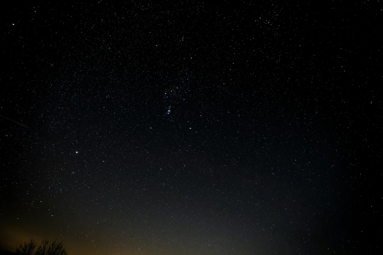 a sky filled with lots of stars next to a forest, a picture, by Daniel Seghers, stars and paisley filled sky, sirius a and sirius b, shot with sony alpha 1 camera, calm night. over shoulder shot