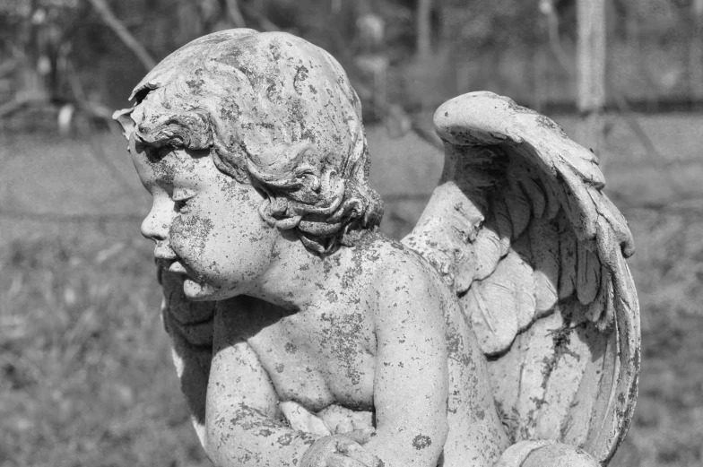 a black and white photo of an angel statue, pixabay contest winner, bashful expression, a quaint, cherub, battered