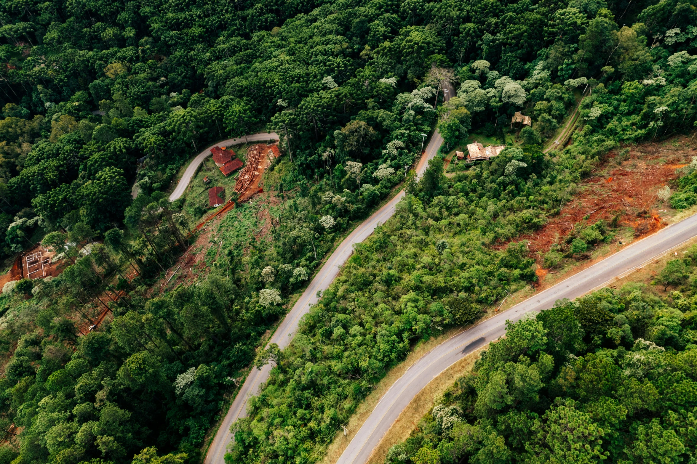 a winding road in the middle of a forest, by Daniel Lieske, hurufiyya, flying above a tropical forest, permaculture, conde nast traveler photo, puerto rico