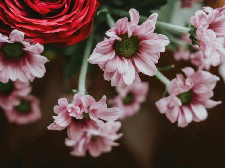 a vase filled with pink and red flowers, pexels contest winner, cinematic closeup, close-up, delicate embellishments, today\'s featured photograph 4k