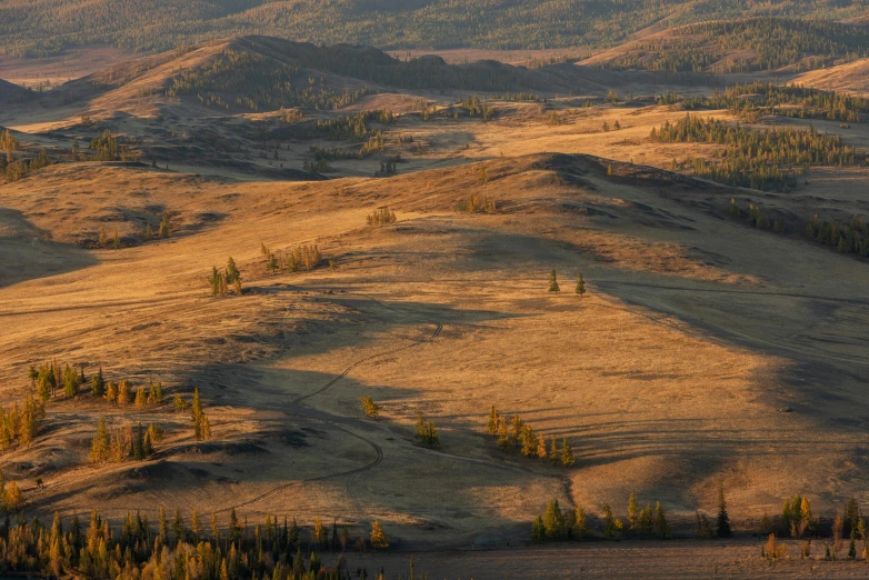 a view of a mountain range with trees in the foreground, by Peter Churcher, unsplash contest winner, land art, mongolia, sparse pine forest long shadows, meadows on hills, autumn sunrise warm light