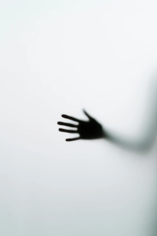 a shadow of a person behind a frosted glass, pexels, zombie arms out in front, 'white background'!!!, sydney hanson, floating