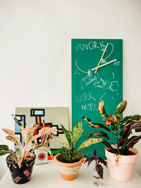 a table topped with potted plants next to a clock, inspired by Art Green, process art, chalkboard, promo image, multiple stories, product display photograph