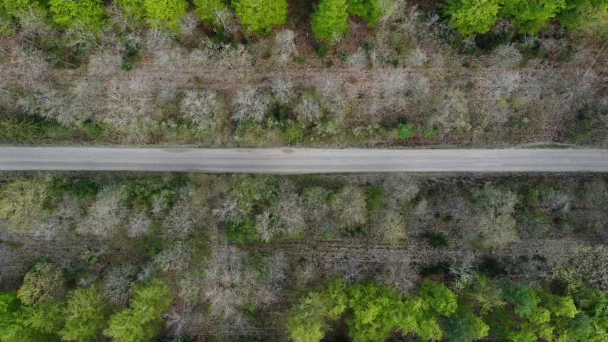 an aerial view of a road surrounded by trees, digital still, fan favorite, wideangle, zoomed out