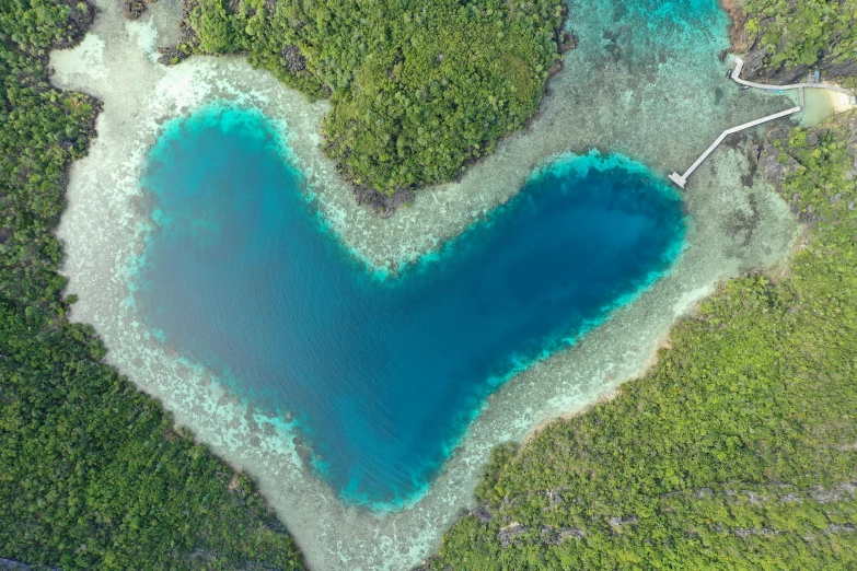 a heart shaped body of water surrounded by trees, coral reefs, waneella, exterior shot, flatlay