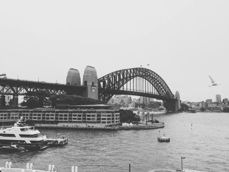 a black and white photo of the sydney harbour bridge, a black and white photo, scenic view of river, in the middle of the city, brown, gray scale