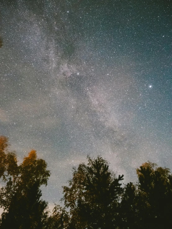 a night sky filled with lots of stars, by Niko Henrichon, trending on unsplash, light and space, trees and stars background, medium closeup, taken on iphone 1 3 pro, ansel ]