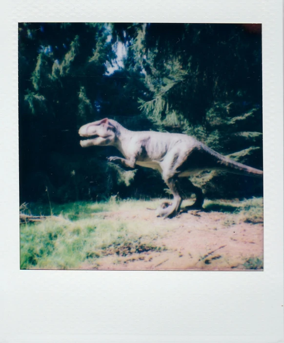 a dinosaur that is standing in the grass, a polaroid photo, unsplash, scanned in, creatures, t-rex, quadruped