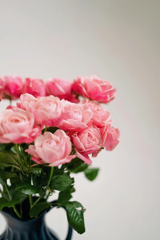 a blue vase filled with pink roses on a table, zoomed in, on grey background, detailed product shot, overflowing