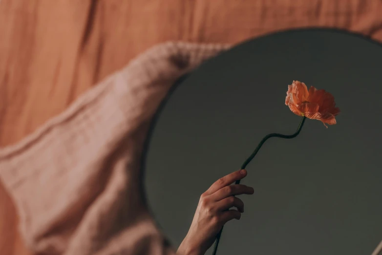 a person holding a flower in front of a mirror, a minimalist painting, by Emma Andijewska, pexels contest winner, poppy, dark grey and orange colours, background image, low - angle shot