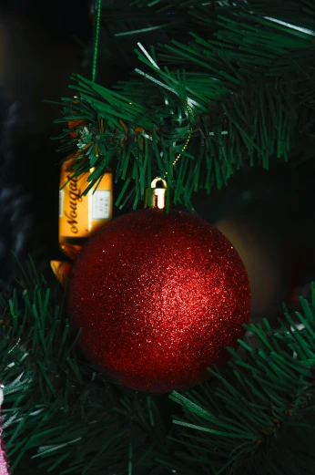a red ornament sitting on top of a christmas tree, chocolate, bubbly, medium close up, on a branch