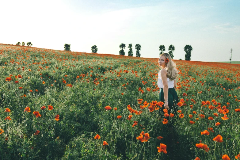 a woman standing in a field of orange flowers, pexels contest winner, saoirse ronan, sydney hanson, poppy, green fields