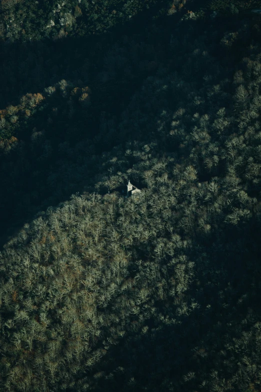 a plane flying over a forest filled with trees, solitary cottage in the woods, cinematic shot ar 9:16 -n 6 -g, nasa true color 8k image, appalachian mountains