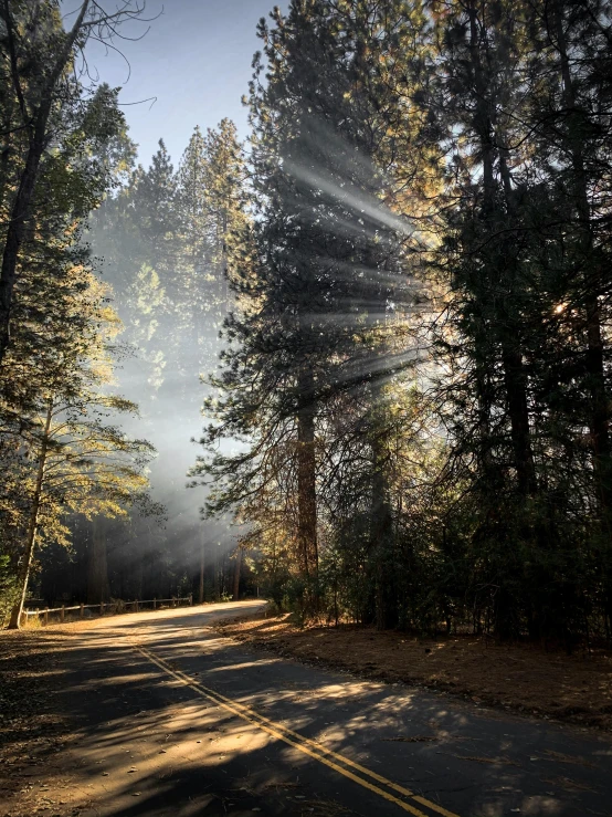 the sun shines through the trees on a road, by Marshall Arisman, unsplash contest winner, light and space, yosemite, iphone photo, camp, ( ( sunbeams ) )