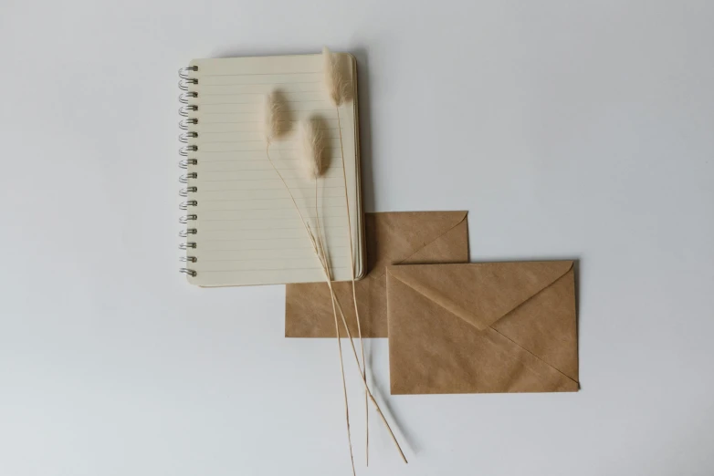 a notepad sitting on top of a pile of brown paper, by Emma Andijewska, pexels contest winner, postminimalism, bullrushes, greeting card, set against a white background, writing a letter