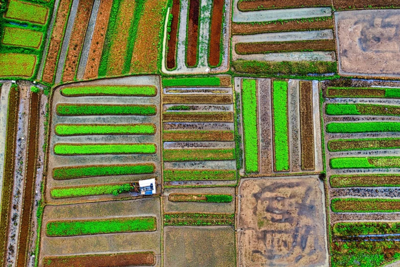 a bird's eye view of a farm land, a mosaic, by Julian Allen, pexels contest winner, vietnam, square lines, a colorful, photorealist