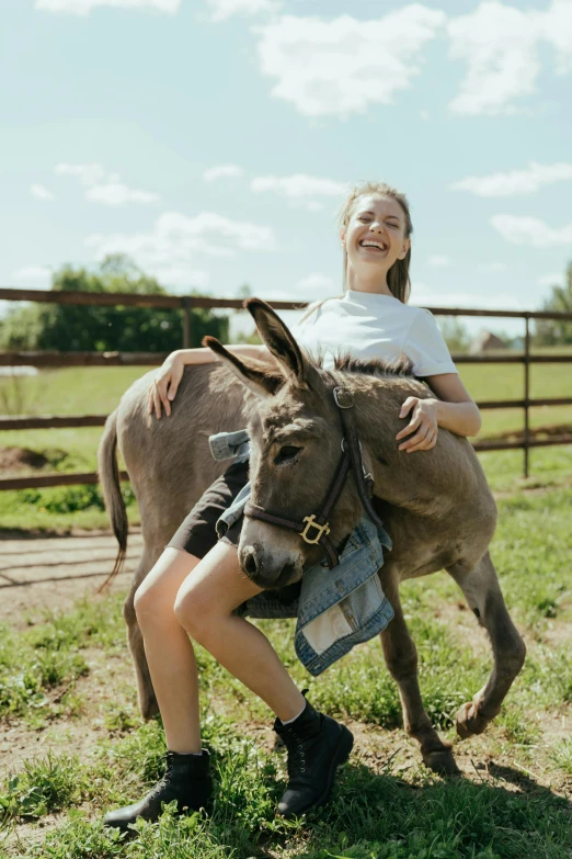 a woman is petting a donkey in a field, greta thunberg smiling, breeches, riding, stacked image