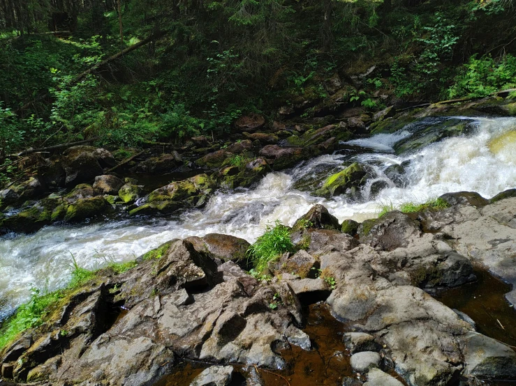 a stream running through a lush green forest, by Else Alfelt, pexels contest winner, hurufiyya, with lots of dark grey rocks, 2 5 6 x 2 5 6 pixels, white water rapids, view from the distance