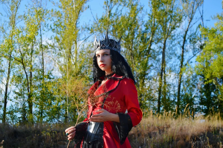 a woman in a red dress standing in a field, inspired by Apollinary Vasnetsov, unsplash, renaissance, with an armor and a crown, black - haired mage, leather clothing, with a tree in the background