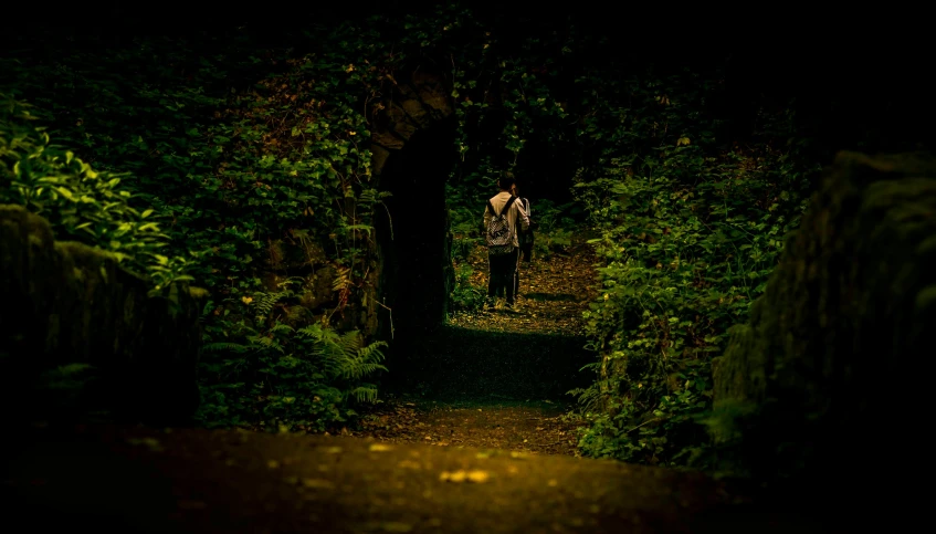 a man walking through a forest at night, inspired by Tom Chambers, pexels contest winner, renaissance, archways made of lush greenery, high walled tunnel, green flora forest, irish forest