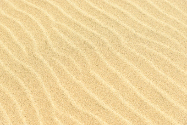 a bird sitting on top of a sandy beach, a stipple, by Carey Morris, pexels contest winner, op art, honey ripples, beige, shades of yellow, texture of sand