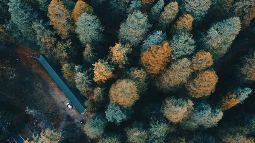 an aerial view of a house in the middle of a forest, inspired by Elsa Bleda, unsplash contest winner, ((trees)), teal and orange colours, helicopter view, cinematic composition 8 k