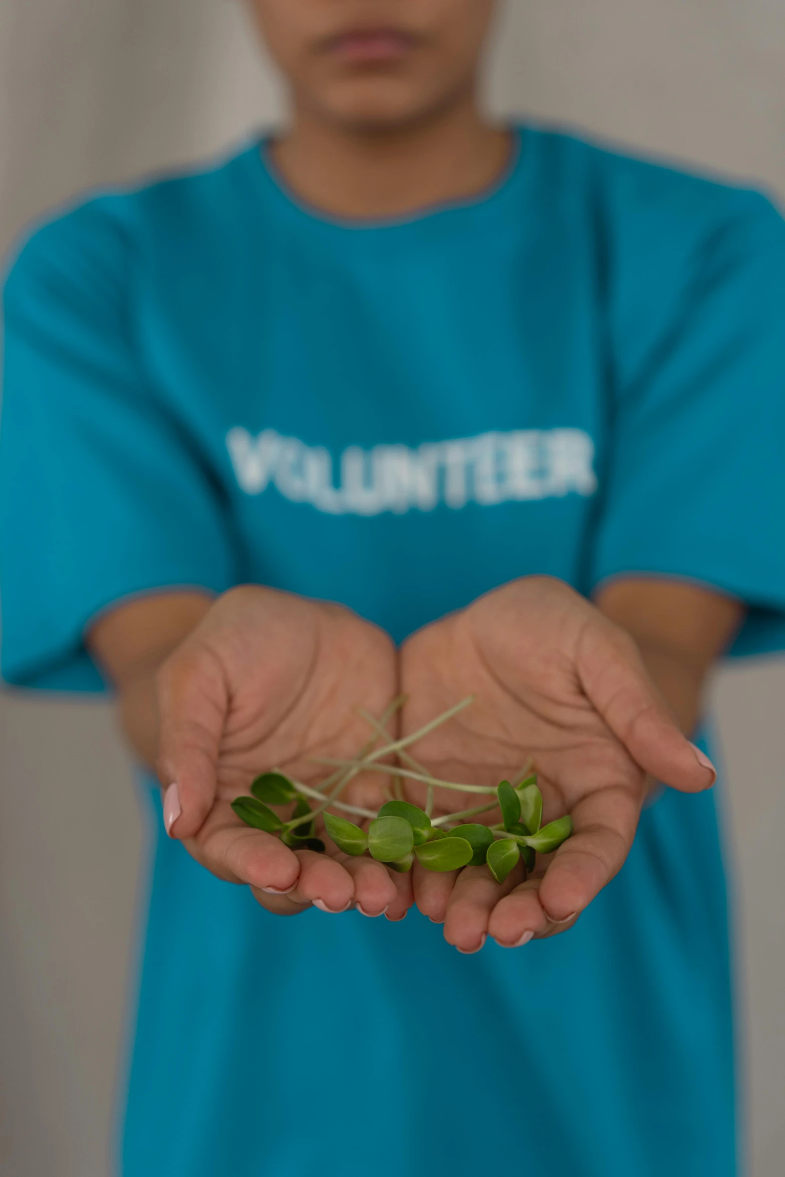 a person holding a bunch of leaves in their hands, in a dark teal polo shirt, ameera al-taweel, seedlings, low detail