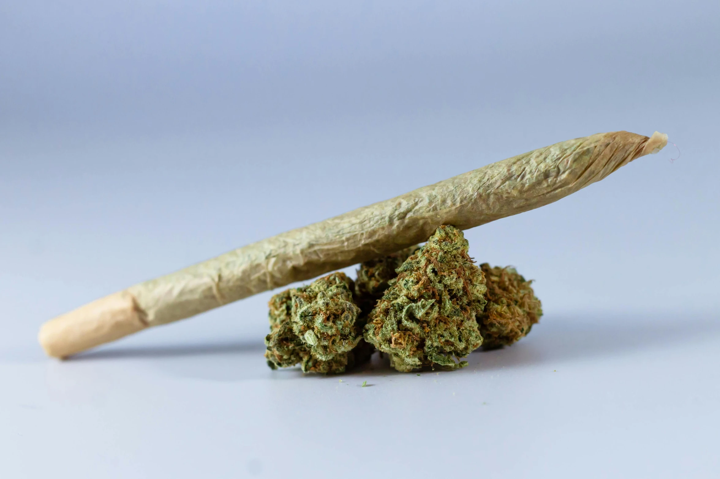 a couple of marijuana buds sitting on top of a wooden stick, unsplash, “hyper realistic, close-up product photo, a blond, image