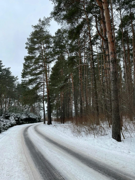 a snow covered road in the middle of a forest, on a road
