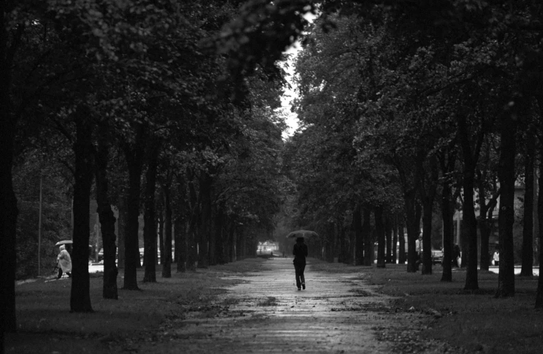 a person walking down a path with an umbrella, a black and white photo, trees in the background, in a row, trees in background, lonely rider