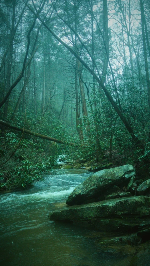 a stream running through a lush green forest, an album cover, appalachian mountains, rainy; 90's photograph, slide show, january 20th