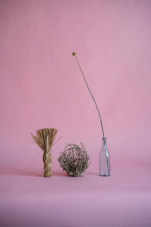 a couple of vases sitting next to each other on a pink surface, a still life, unsplash, tumbleweeds, single long stick, hay, bottle