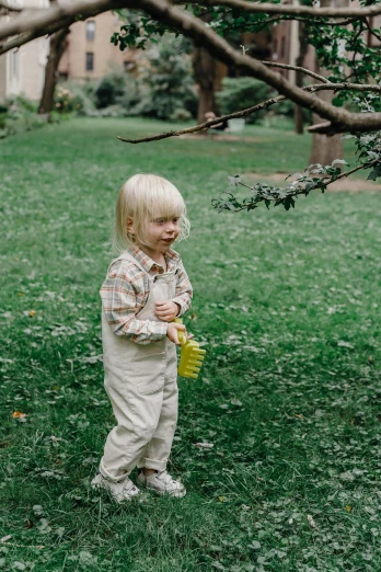 a little boy that is standing in the grass, inspired by Elsa Beskow, pexels contest winner, full body potrait holding bottle, yellow overall, thoughtful ), blonde man