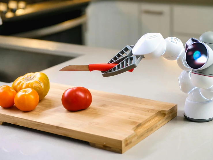 a robot is cutting tomatoes on a cutting board, inspired by Kanō Tan'yū, unsplash, sassy pose, 3d printed, grain”