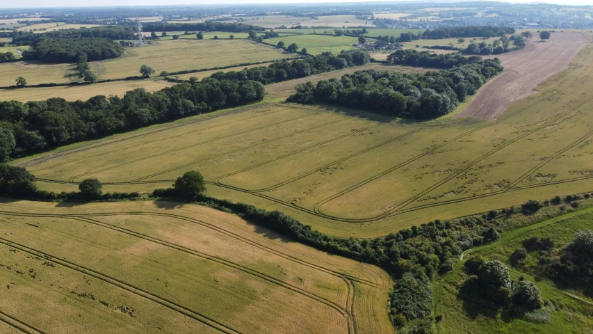 a large field filled with lots of green grass, by Julian Allen, land art, next to farm fields and trees, photo from the dig site, aerial footage, peaceful environment