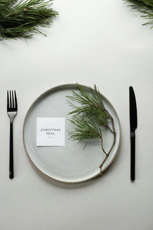 a white plate sitting on top of a table next to a fork and knife, evergreen branches, label, full product shot, grey