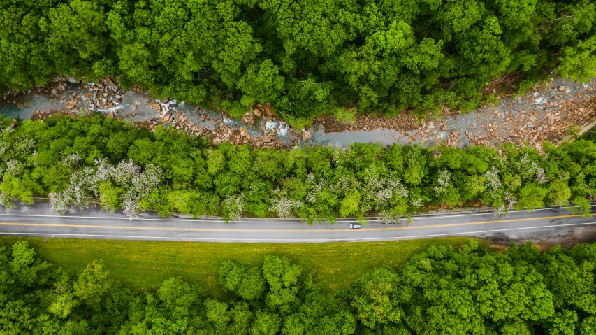 an aerial view of a road surrounded by trees, by Dan Frazier, creek, ultrawide shots, 2 5 6 x 2 5 6 pixels, thumbnail