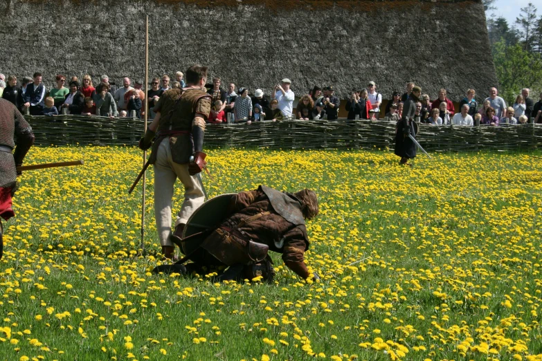 a group of men standing on top of a lush green field, sword fighting, medieval dress yellow ochre, buttercups, people enjoying the show