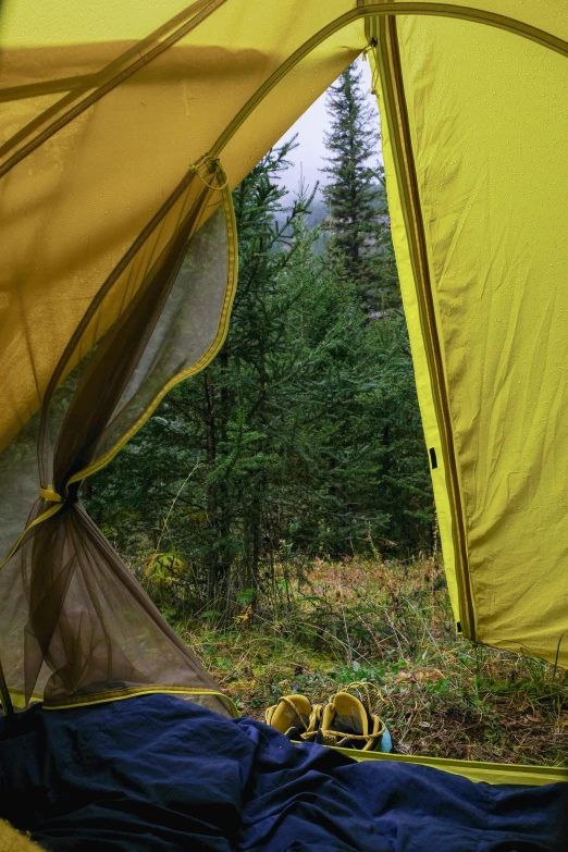 the inside of a tent with a sleeping bag, unsplash, yellow and greens, spruce trees, rainy outside, slide show