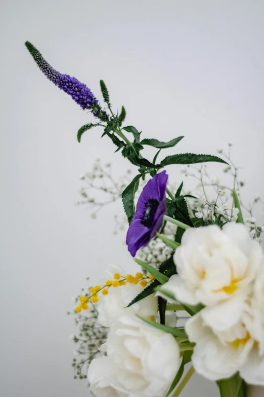 a vase filled with white and purple flowers, a still life, unsplash, close - up on detailed, tall, various styles, with a white background