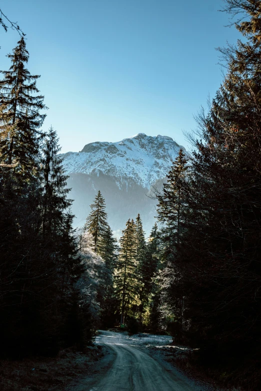 a road in the middle of a forest with a mountain in the background, by Tobias Stimmer, mountain snow, looking out, mount