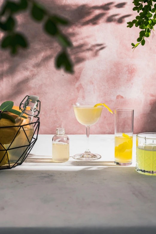 a bowl of fruit sitting on top of a table, holding a drink, various items, citrinitas, botanicals