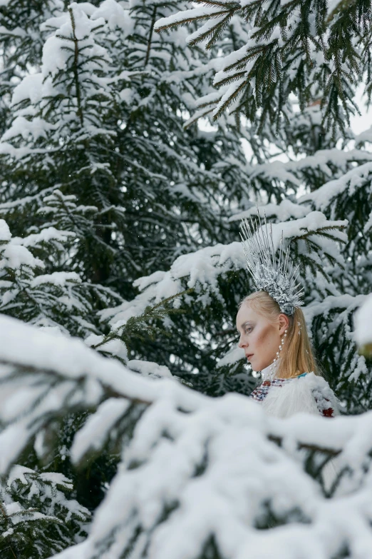 a woman that is standing in the snow, an album cover, inspired by Oleg Oprisco, pexels contest winner, renaissance, intricate chrome headdress, against the backdrop of trees, resembling a crown, erwin olaf