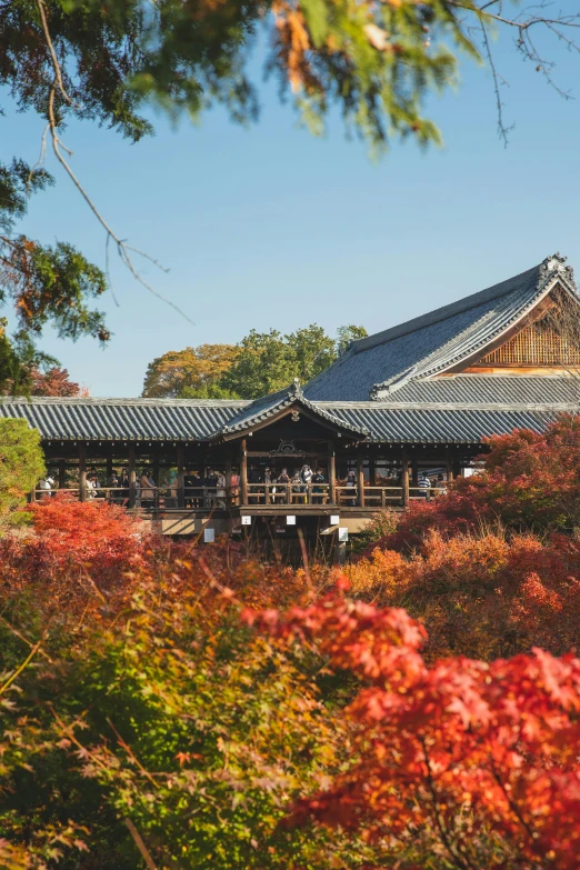 a building sitting on top of a lush green field, a picture, trending on unsplash, ukiyo-e, red orange and yellow leaves, wooden structures, autumnal empress, slide show