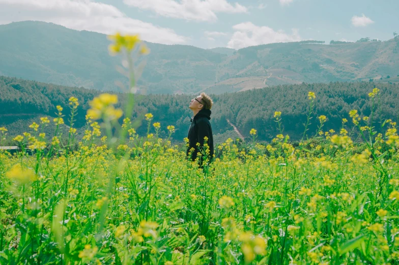 a woman standing in a field of yellow flowers, by Julia Pishtar, trending on unsplash, jin shan, in a valley, avatar image, cai xukun