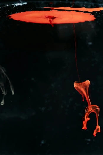 a red object floating on top of a body of water, poster art, inspired by roger deakins, unsplash, horse legs and human body, xray art, water dripping from ceiling, against a deep black background