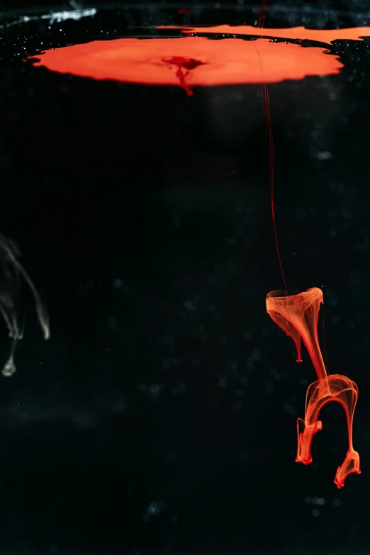 a red object floating on top of a body of water, poster art, inspired by roger deakins, unsplash, horse legs and human body, xray art, water dripping from ceiling, against a deep black background